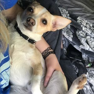 Meet your Posher, Drew